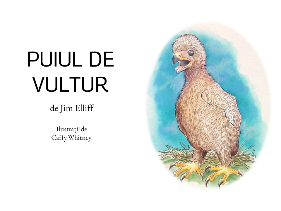 Puiul de vultur