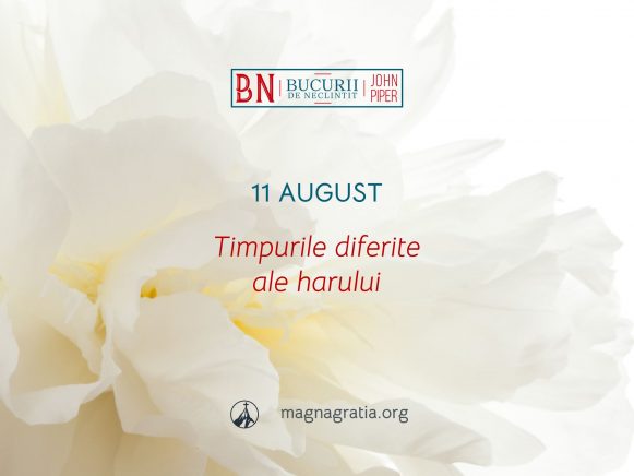 11 August / Timpurile diferite ale harului