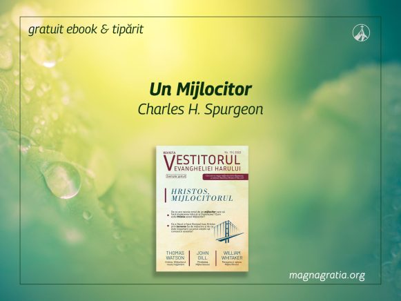 Un Mijlocitor