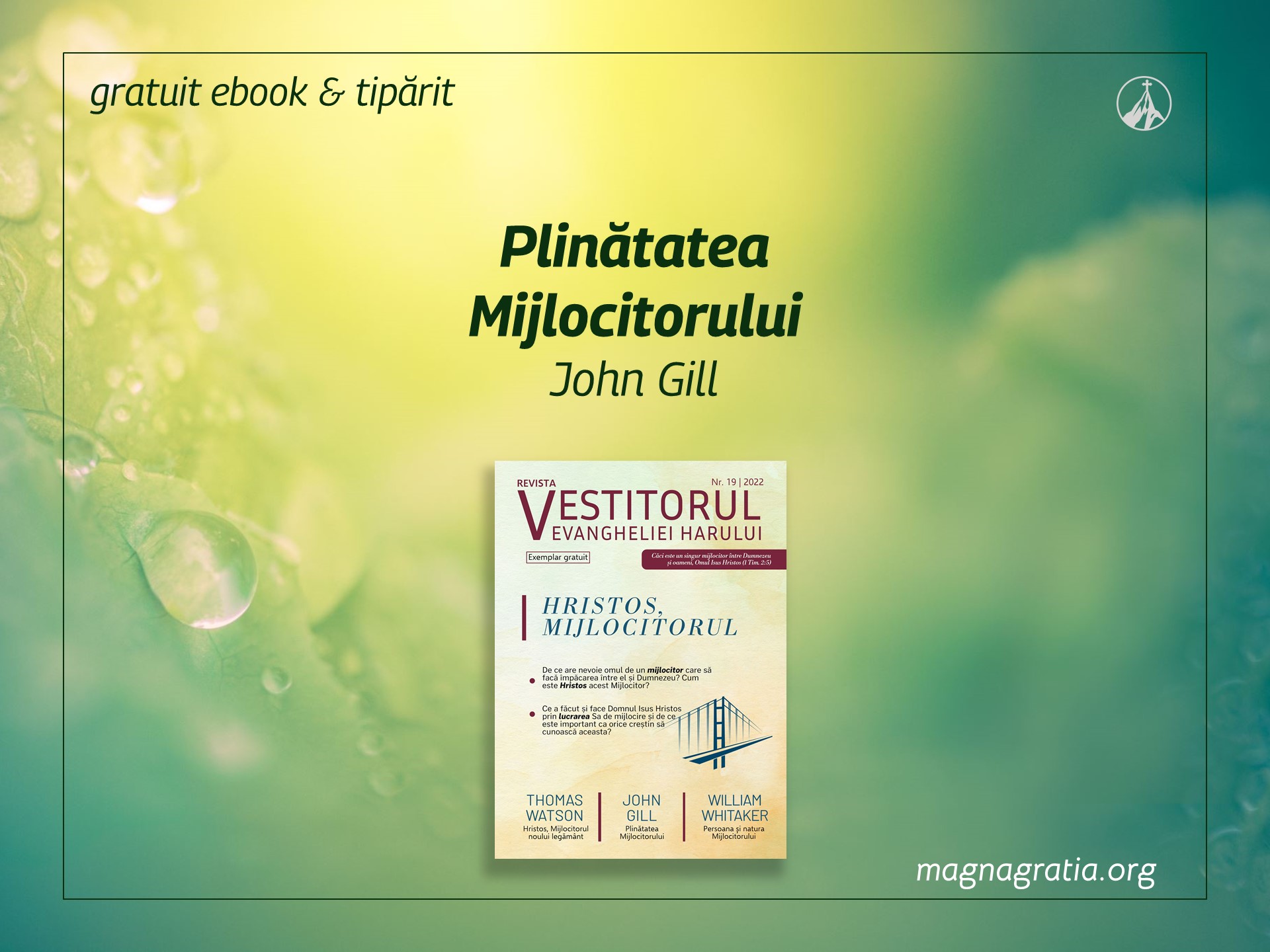 Plinătatea Mijlocitorului