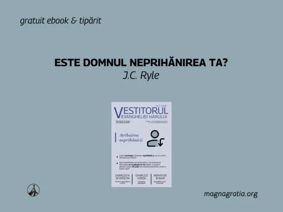 Este Domnul neprihănirea ta?
