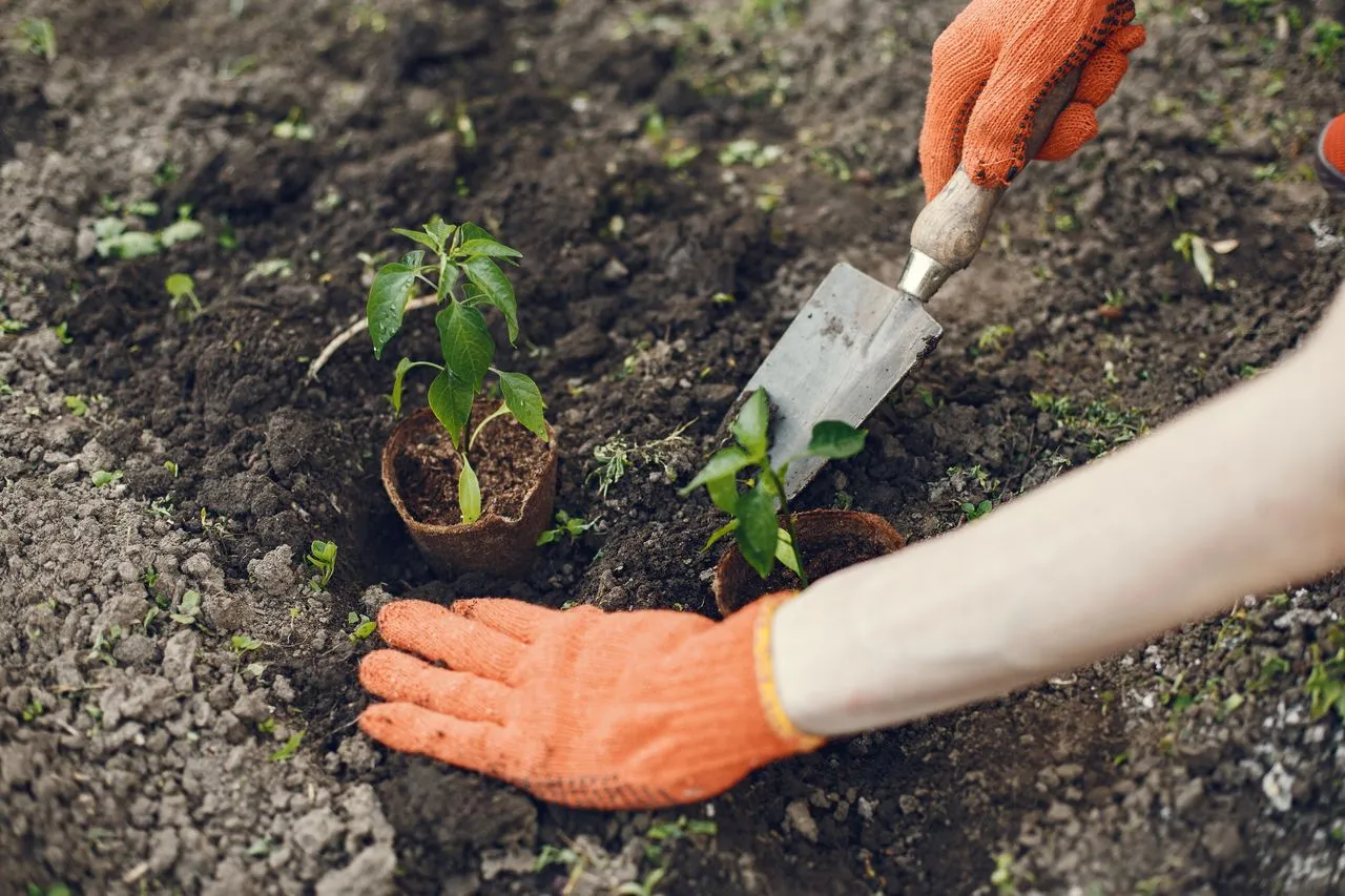 Cum să introducem practica membralității într-o biserică în curs de plantare